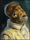 Senator_Finbar